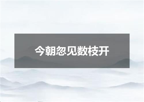 今朝忽见数枝开
