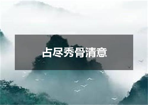 占尽秀骨清意