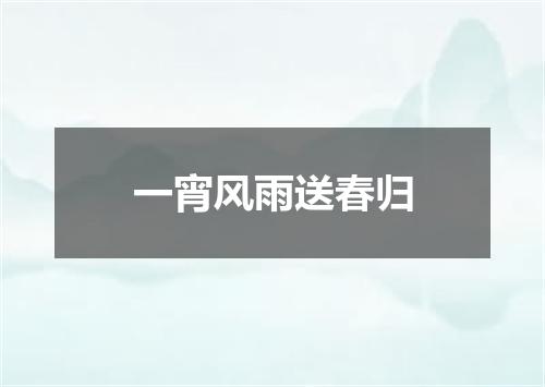 一宵风雨送春归