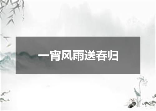 一宵风雨送春归