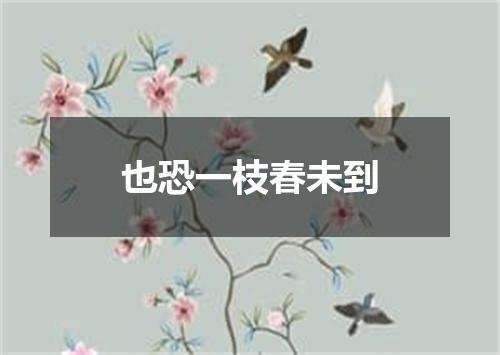 也恐一枝春未到