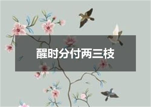 醒时分付两三枝