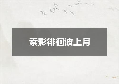 素影徘徊波上月