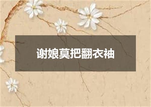 谢娘莫把翻衣袖