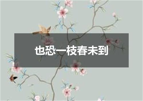 也恐一枝春未到