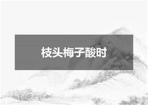枝头梅子酸时
