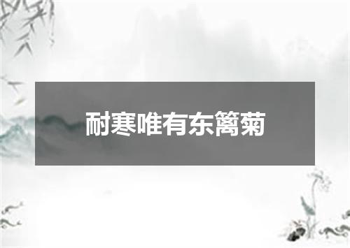 耐寒唯有东篱菊