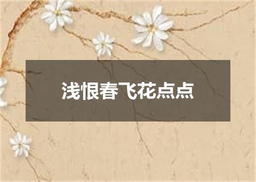 浅恨春飞花点点
