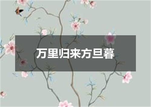 万里归来方旦暮