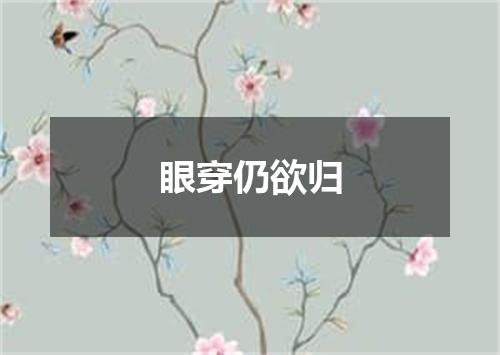 眼穿仍欲归