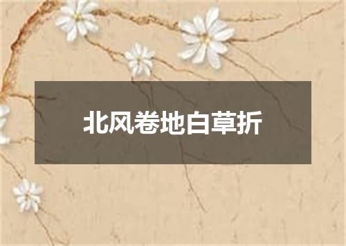 北风卷地白草折
