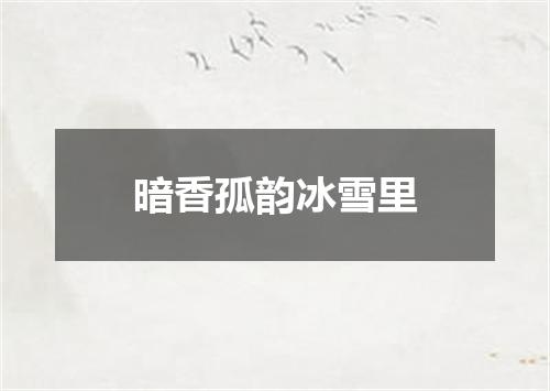 暗香孤韵冰雪里