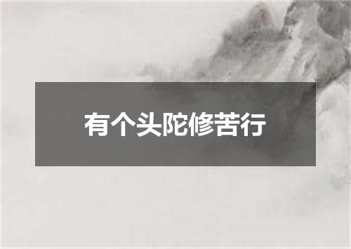 有个头陀修苦行
