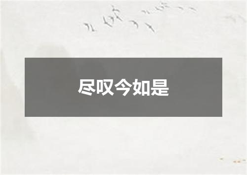 尽叹今如是