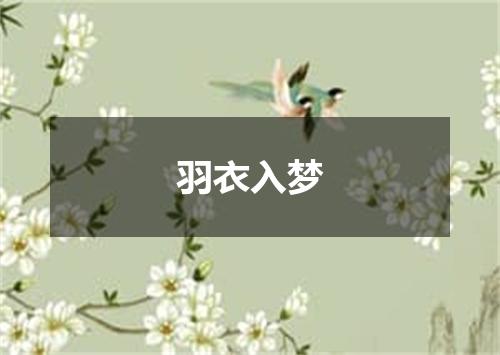羽衣入梦