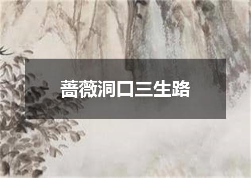 蔷薇洞口三生路