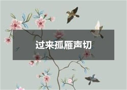 过来孤雁声切