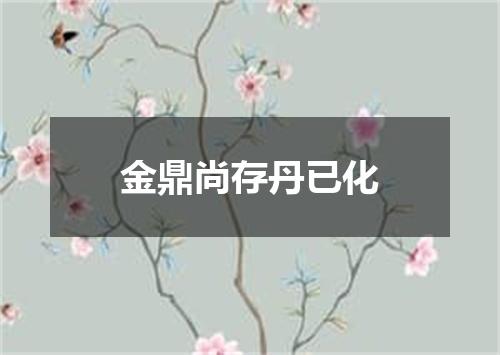 金鼎尚存丹已化