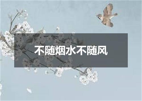 不随烟水不随风
