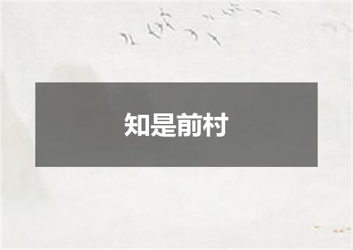 知是前村