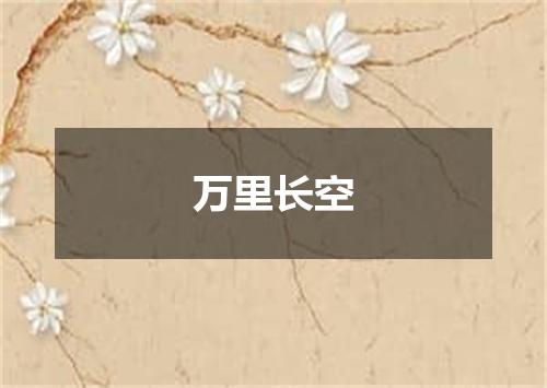 万里长空