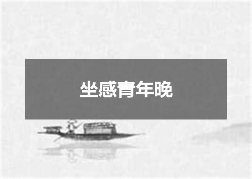 坐感青年晚
