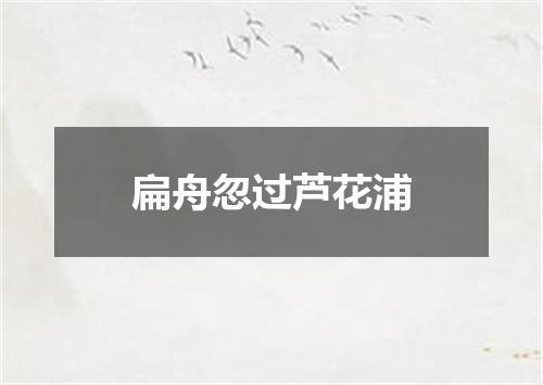 扁舟忽过芦花浦