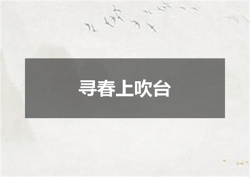 寻春上吹台