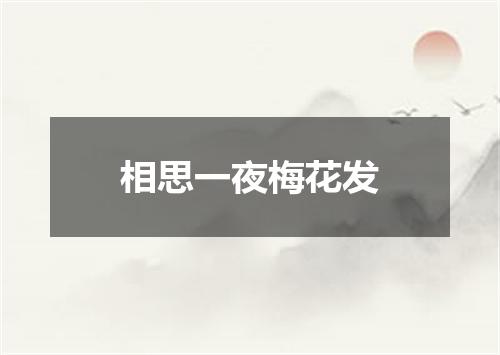 相思一夜梅花发