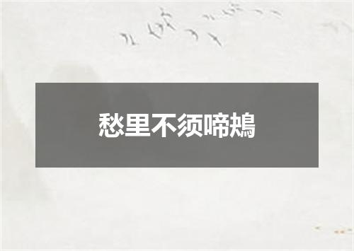 愁里不须啼鴂