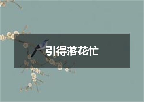 引得落花忙