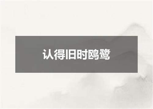认得旧时鸥鹭