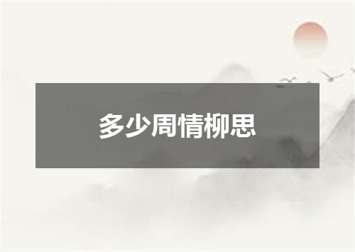 多少周情柳思