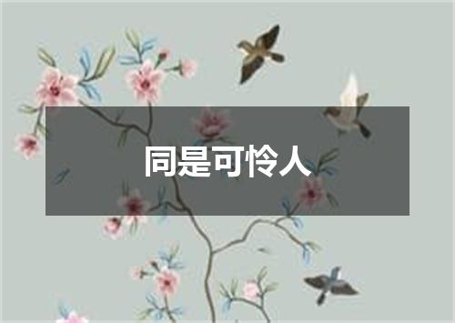 同是可怜人