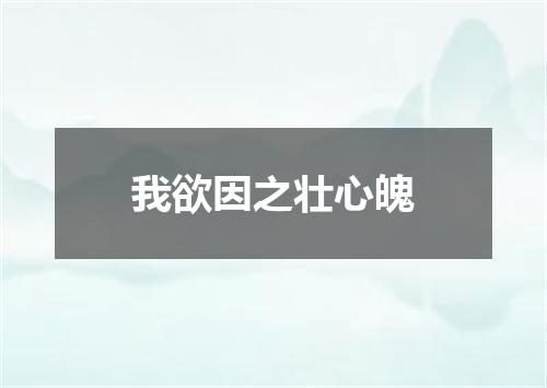 我欲因之壮心魄