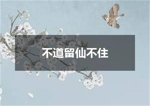 不道留仙不住