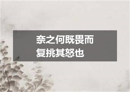 奈之何既畏而复挑其怒也