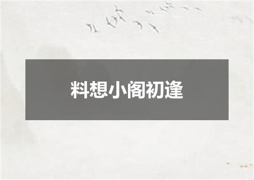 料想小阁初逢