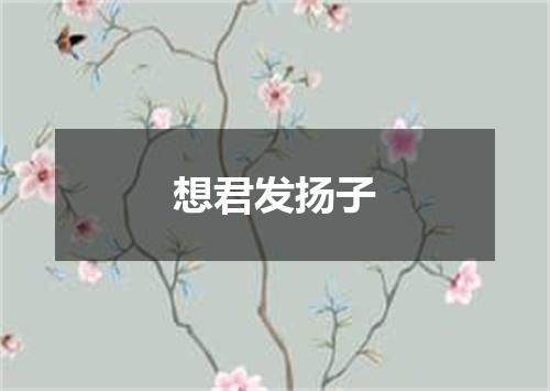 想君发扬子