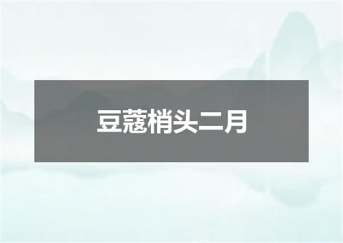 豆蔻梢头二月