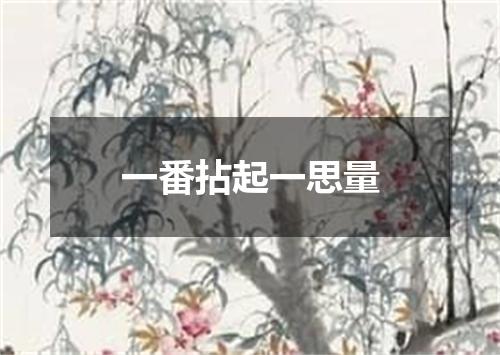 一番拈起一思量
