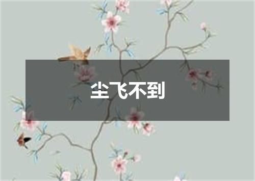 尘飞不到