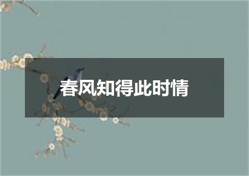 春风知得此时情