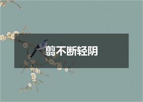 翦不断轻阴