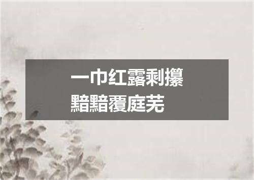 一巾红露剩攥黯黯覆庭芜