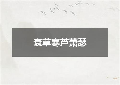 衰草寒芦萧瑟