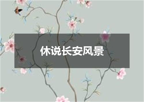 休说长安风景