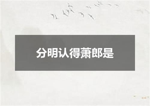分明认得萧郎是