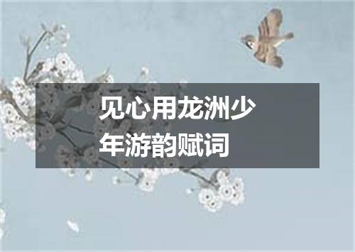 见心用龙洲少年游韵赋词