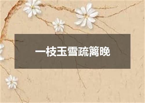 一枝玉雪疏篱晚